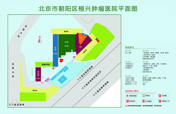 扒开双脚刺进去爽歪歪北京市朝阳区桓兴肿瘤医院平面图